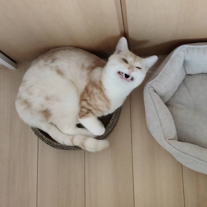 C97120b7 3a4a 4b22 b43e 2c97cd1906ba 1654217437264