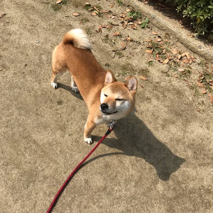 C971625a f1da 4153 bae4 3ff7af991c33 1522233102230