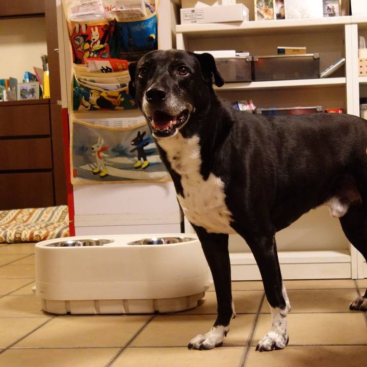 C971671a e17f 4f8e bb58 c7b3b29b2de5 1724238660376