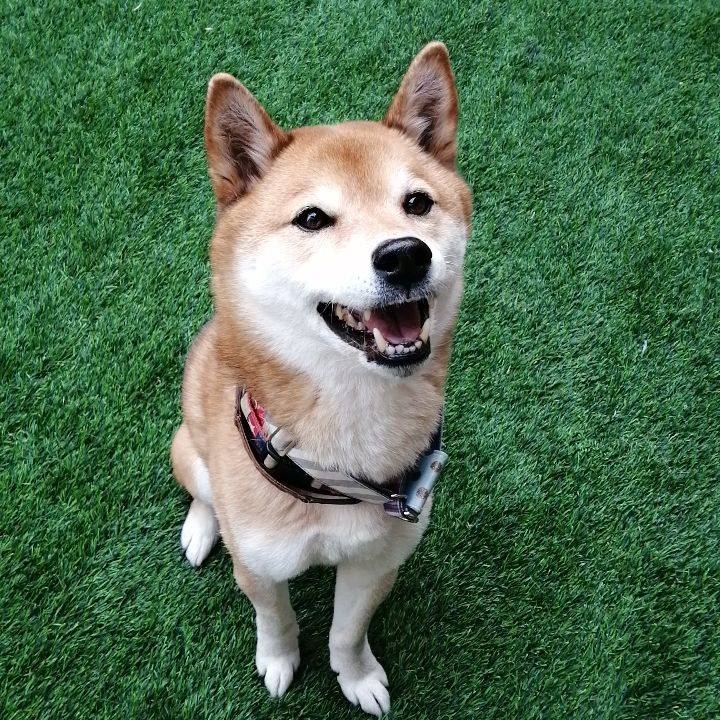 C971930d b029 4257 a304 e77d0add6ba1 1676714180941