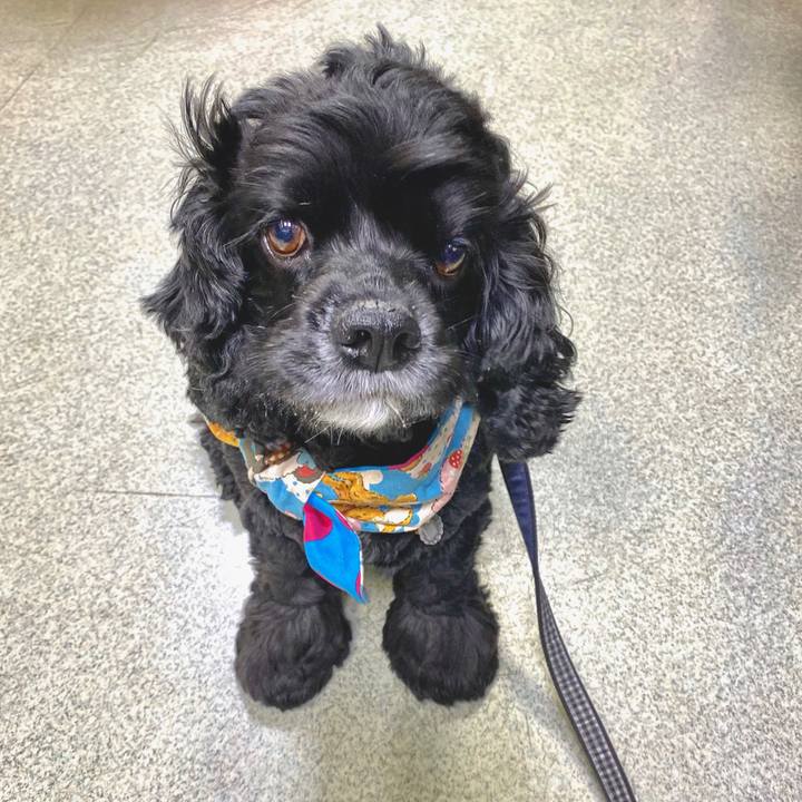 C971b0c2 2797 4558 9141 db65f448f43e 1597725717631