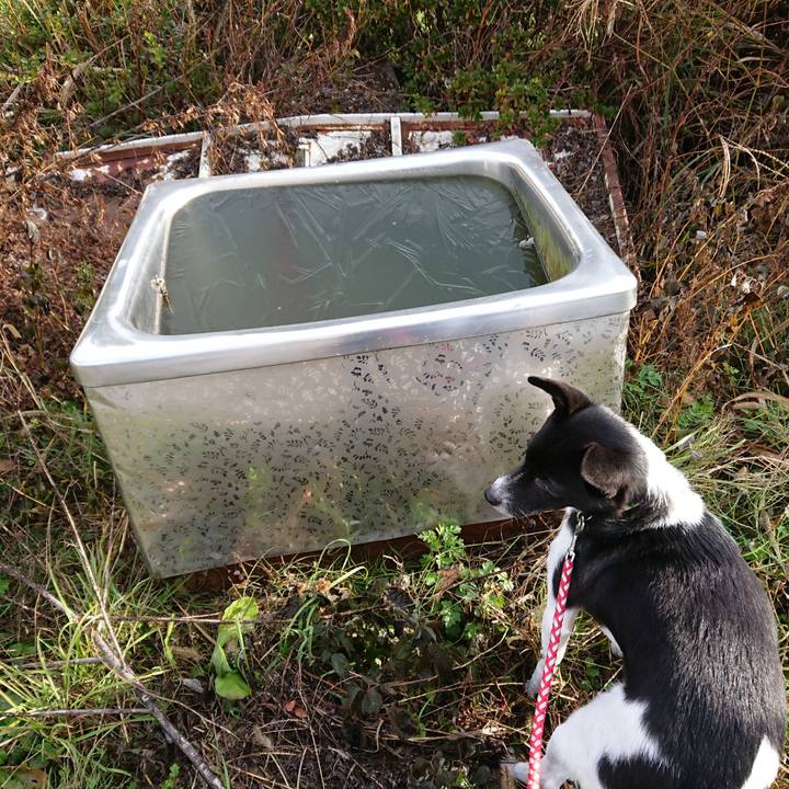 C971ef9f 46ea 4647 b74d e534007e6785 1575164595143