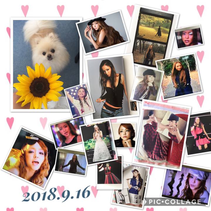 C972aaf3 396d 4730 8de8 3e755b8c648a 1537023750070