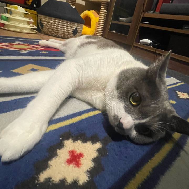 C972c9ae afdc 4d23 91cd 3449c59c3502 1687358084400