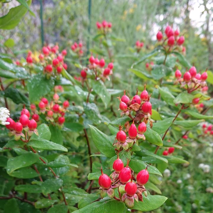 C97303c2 f41c 43b8 9692 20d398a7c049 1591369890940