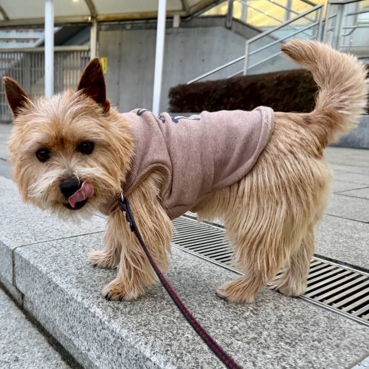 C9732098 dcd6 4080 8d20 3bef5a7aabc3 1772440800469