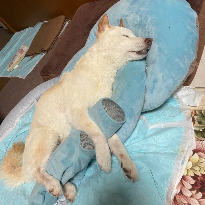 C9732e19 8a0c 47a0 be2e c548d1795035 1660482335933