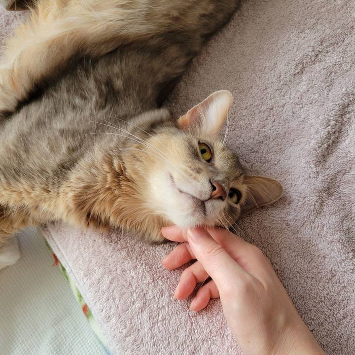 C9732e47 3ebc 4198 844d ed164bb3d469 1633229971429