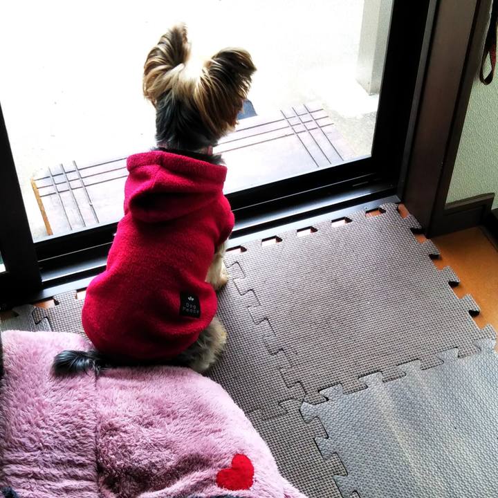 C9732f12 ddc4 4319 ad76 e71d4878af6f 1637474206303