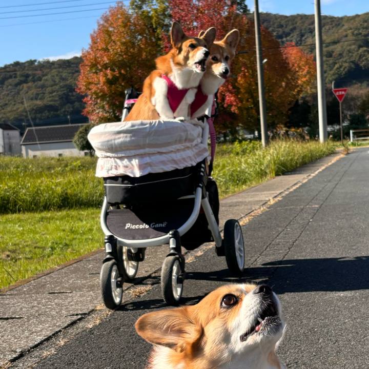 C9734b50 09d6 49d5 a99a 7ccac39727aa 1732245563884