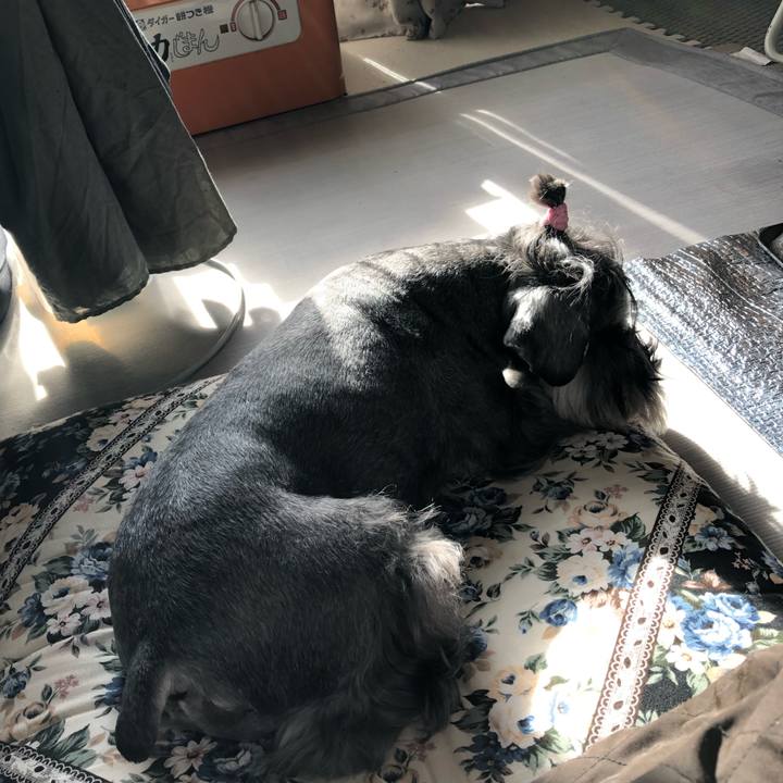 C973725e a789 4c99 963d d909a5738390 1577623150718