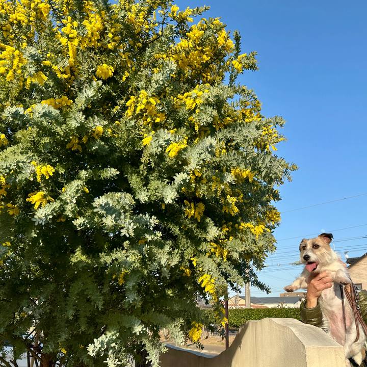 C97376fc 1e51 43d4 9b12 90bbb008624b 1772368299714