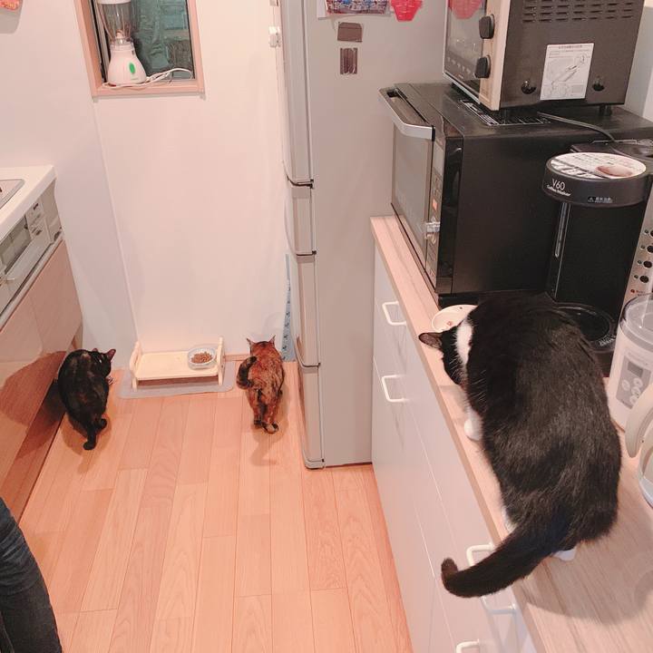 C9737c73 131d 4549 81ba e838adf3fad2 1554606353806