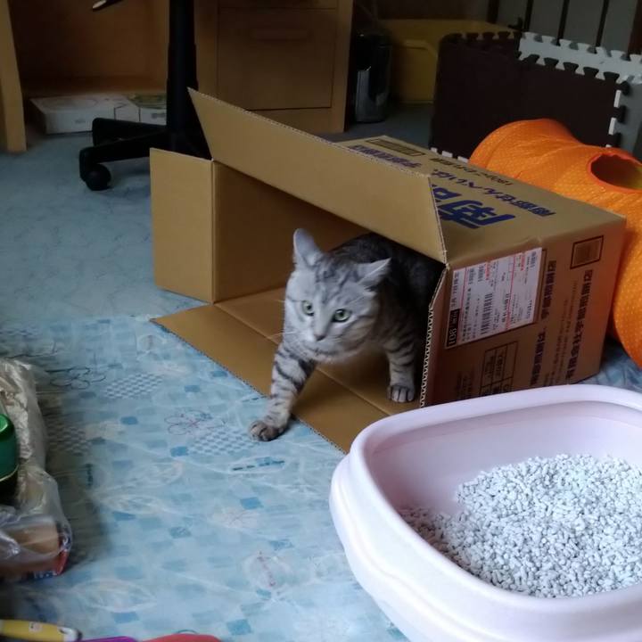 C9738c39 d455 459f a62c 991ef7fc581e 1589878896571