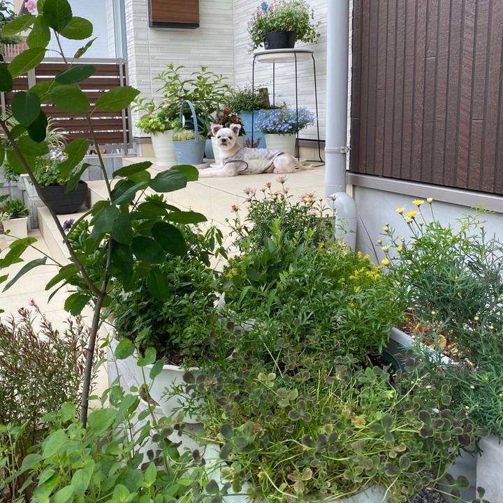 C9738d1f 3126 47c8 ac48 492cd2e48a19 1687751714358