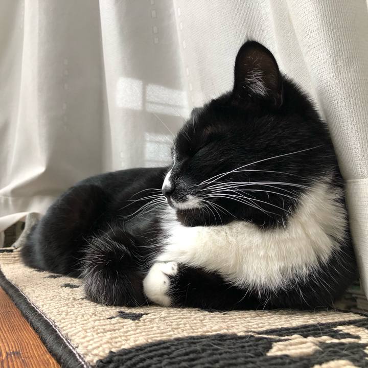 C97392d1 6cea 48d6 b582 eb1c1a942893 1612237780579