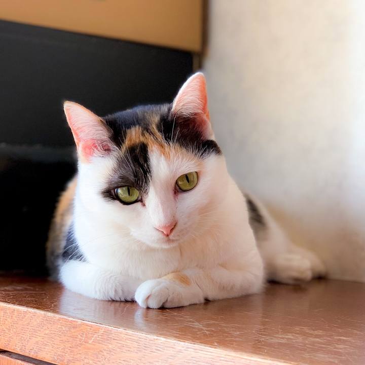 C9739349 2479 48c2 8deb d56aa6fab754 1563328196019