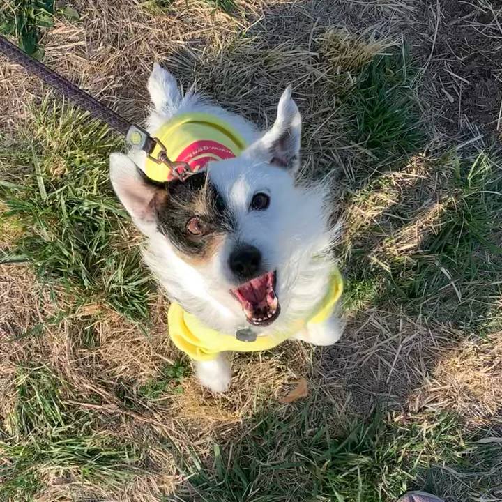 C973a4d2 858e 4c97 b1e7 fe6e5e0e2857 1678950860256