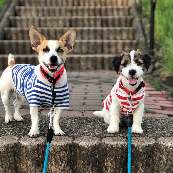 C973a8f8 d9f8 4b70 9384 14f6daed4ec2 1592267889069