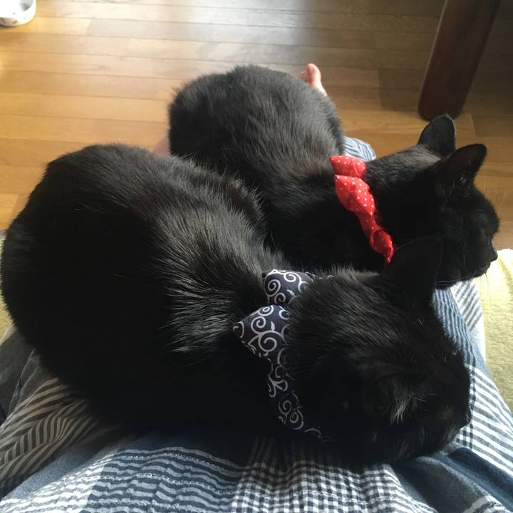 C973bf45 9b92 42c3 971a 0af1a39d7de2 1536959103934