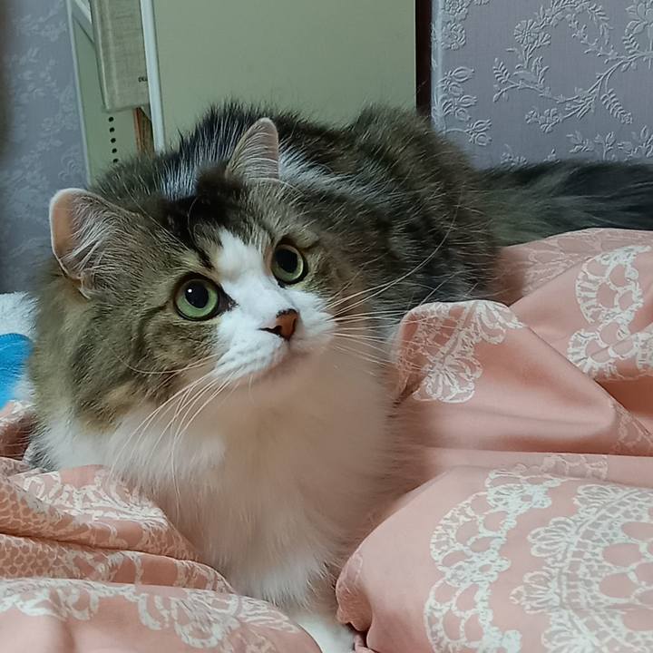 C973ccfb 6df9 44e2 bf71 faf8f4339c84 1643716033909