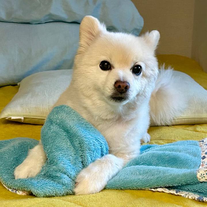 C973e217 369d 457f 9567 2f134950c441 1763298027873