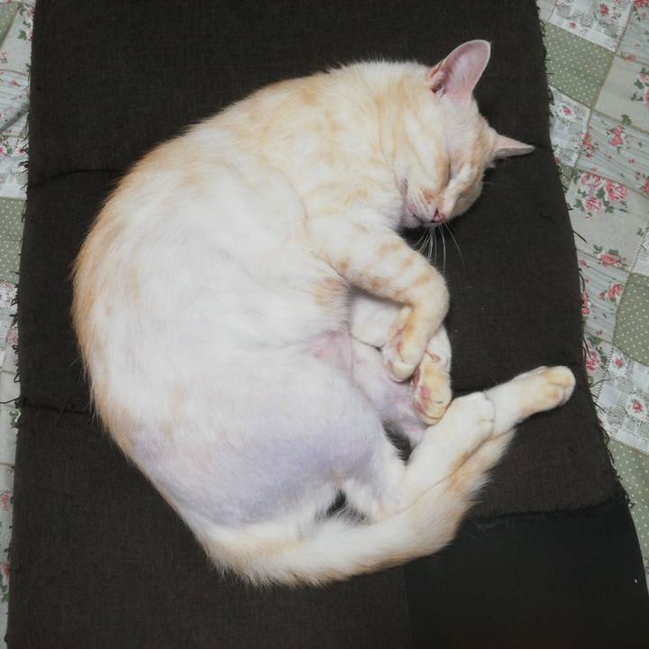 C973f238 15da 406e b9a8 be1e0cdff97c 1693262972271