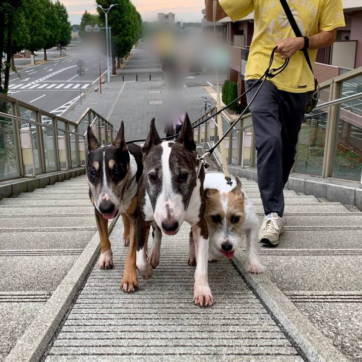 C973f6ac d120 4499 a0de b233ae580f3e 1600599784253