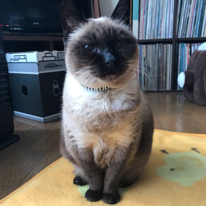 C974066b 808c 4e8c b768 4d5ba9f0c1b8 1582507383674