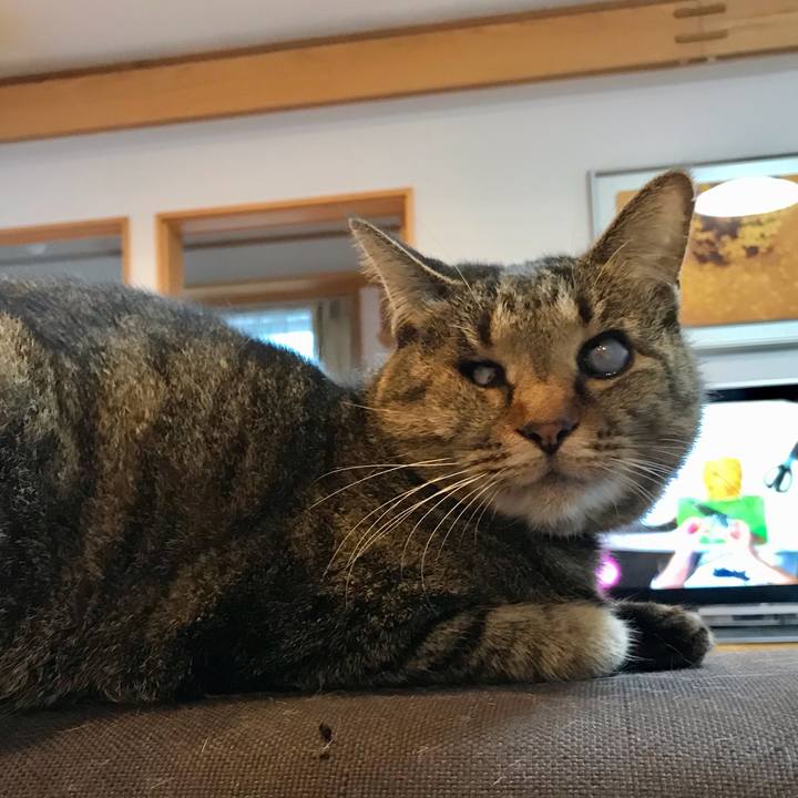 C974356f e058 48e8 8316 84ff5158d9a9 1611014380238