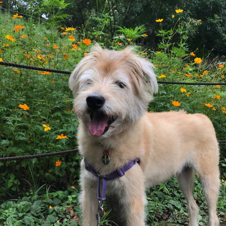 C974525a 5a1a 40ff 88c3 4f123b0a6e8e 1599987435376