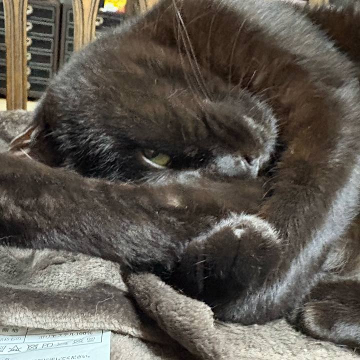 C97482fa 690c 4f4a 8e52 4cbed8b8df59 1769935047267