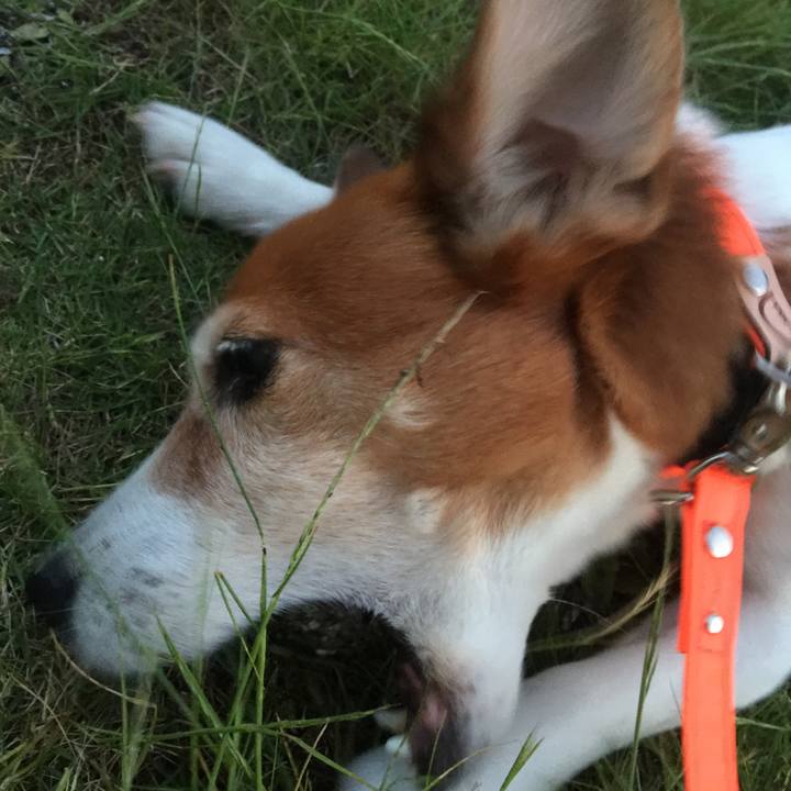 C9748a86 acd1 4272 9acb ef3629a0fa49 1528810590005