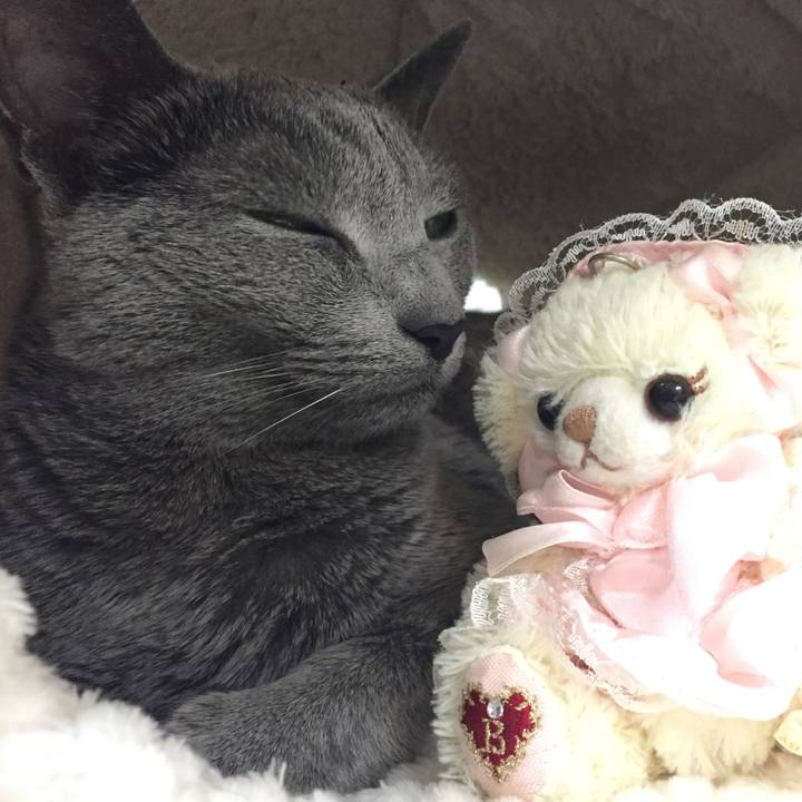 C9753b4d da1d 41ad b206 b467f777c803 1511337915201