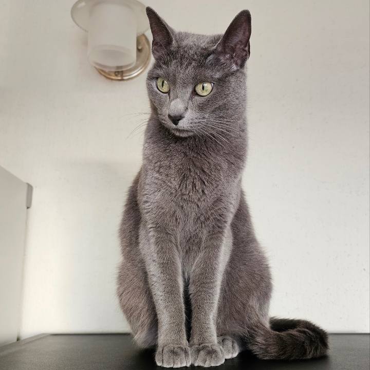 C9754066 77b5 4f79 a85d a5501ddbc3c9 1682375867957