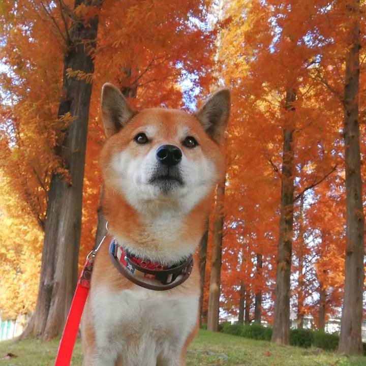 C9758d7e 7ce0 4b12 9214 43a26be6deda 1668734587914