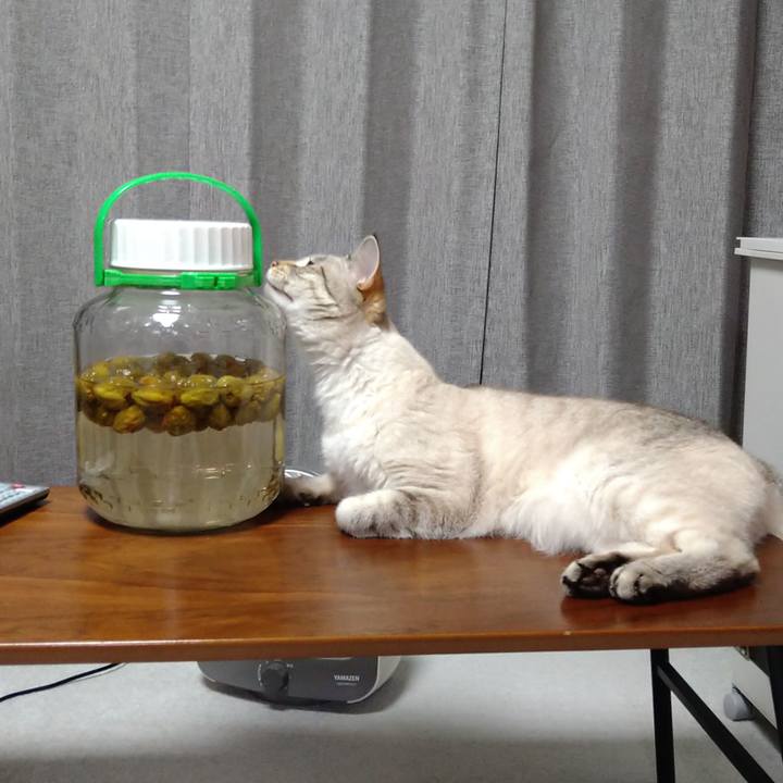 C975ab30 f04f 4705 b89b 5d107892c96a 1624704198824