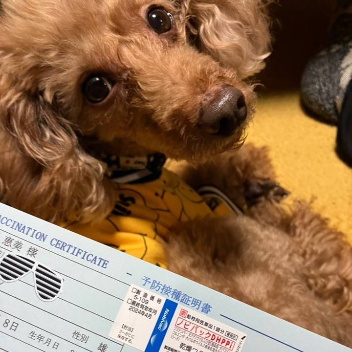 C975d37b 4ed2 4765 8b36 40797b6560b4 1675825915221