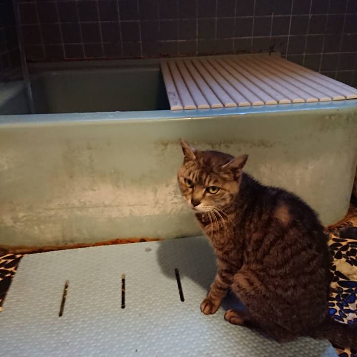 C975da5c d8be 4448 9038 ef9c40534d8d 1592994099455