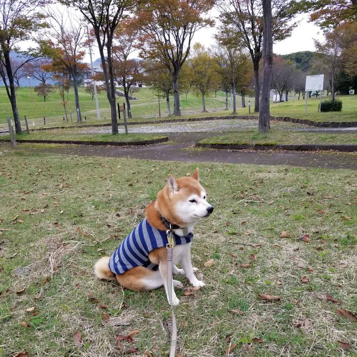 C975db5c c4db 47e7 86e6 816d77be6f77 1635141528314