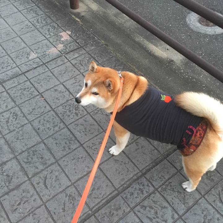 C975dedb 5a5c 4271 8e52 109d8e207065 1546848875053