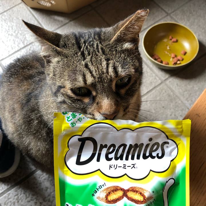 C975f7eb 840e 41e6 9bcb 7edd7e649a09 1562378262057