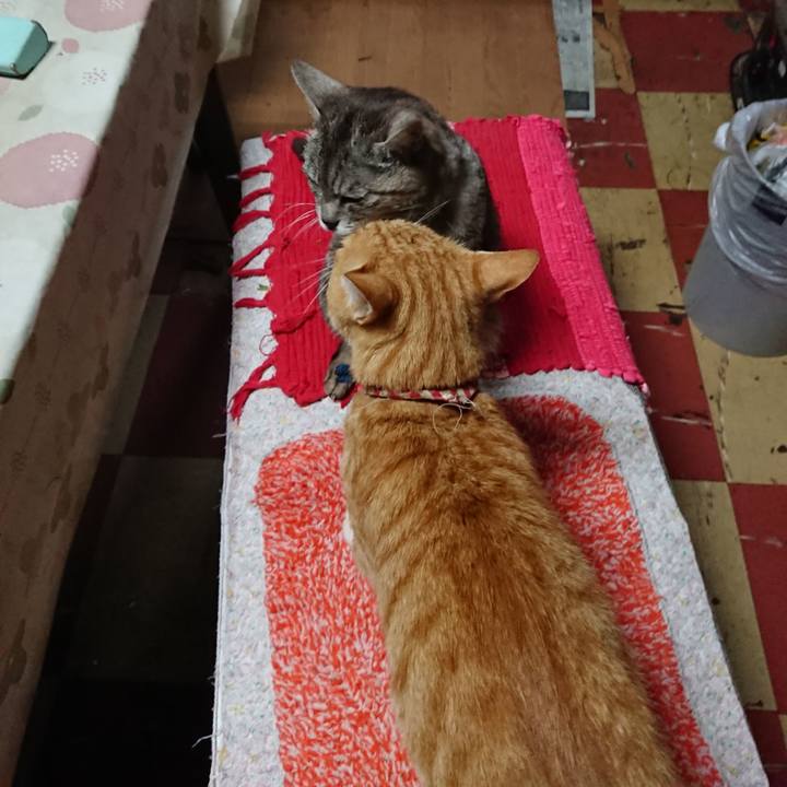 C975f7f8 78cb 46db a0e6 eea2cd472f83 1562359086122