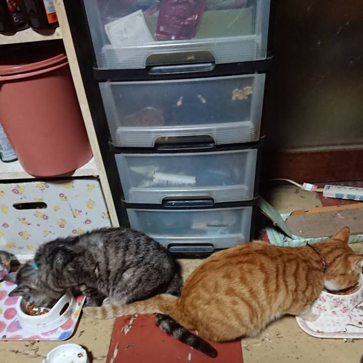 C9760b8b bf8e 48a3 b422 1b85632dfa31 1567193981898