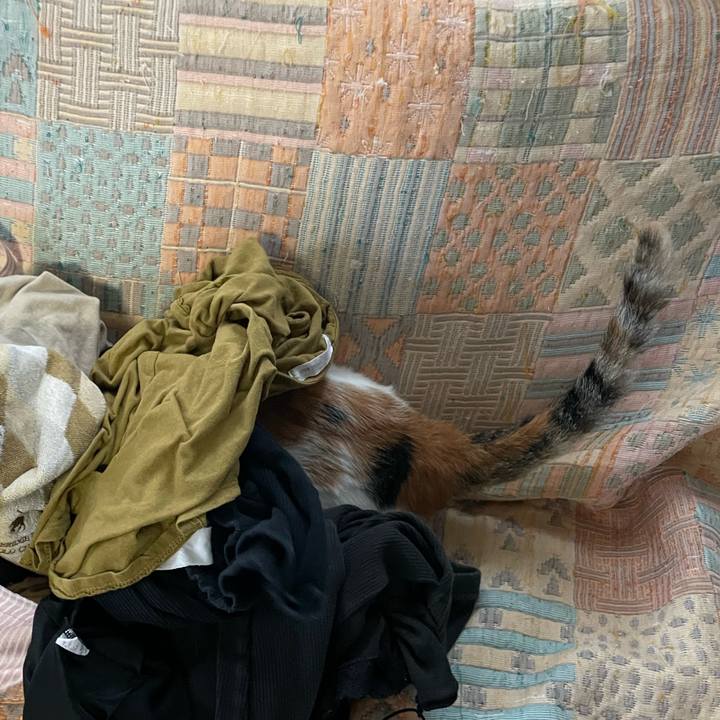 C9761af6 4b9d 4013 9039 86c570348a52 1662002568540