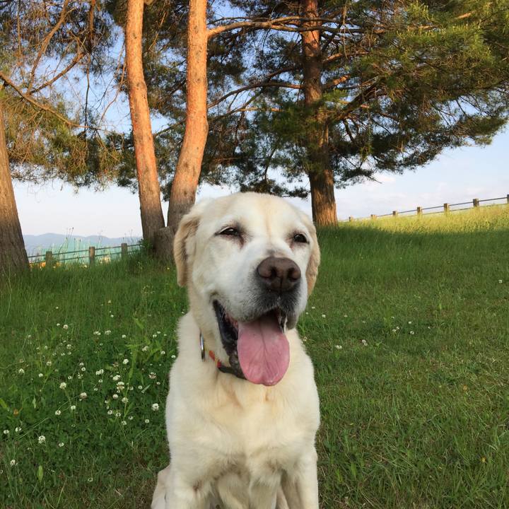 C9761e06 fe33 49cf aff1 05cf40f579c4 1528017690924