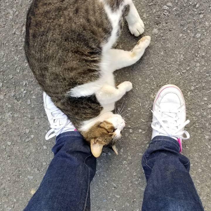 C97630df 54fc 42d0 902f 63ac6005041b 1603105601396