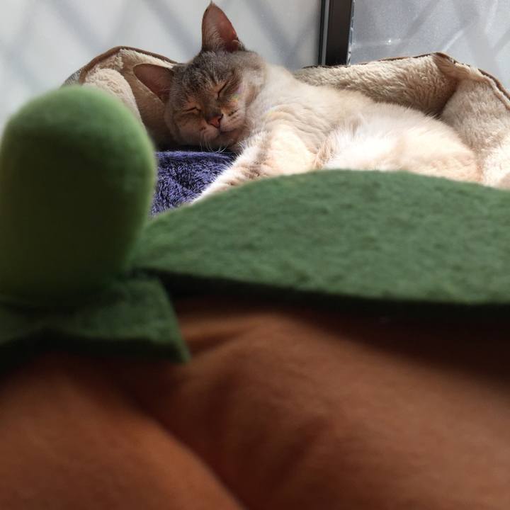 C9767a49 3022 4c97 bf18 07b1a371b6c7 1520572491912