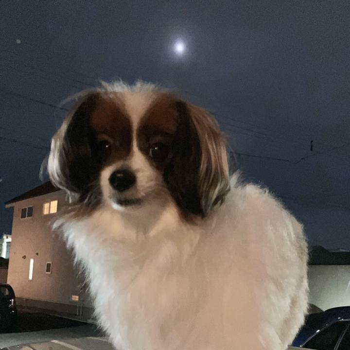 C9767db7 e218 4e2a 8e4b c2ffabc4b2ff 1759747748295