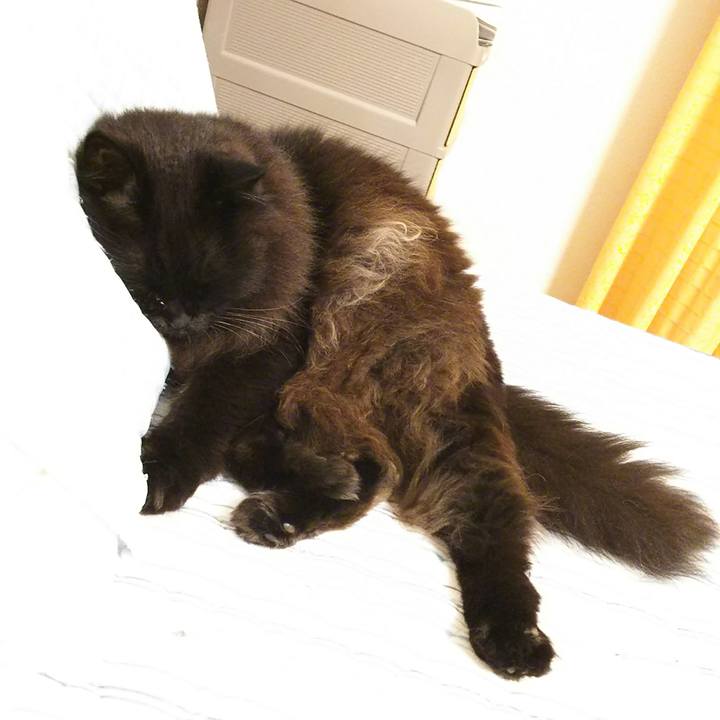 C9769422 25e5 4575 89d5 b107c85074a4 1528985170915